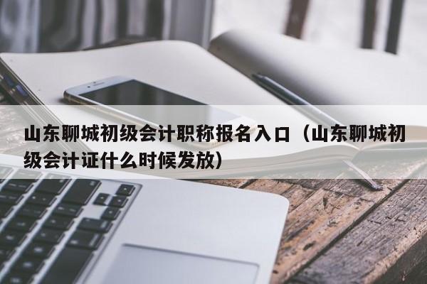 山东聊城初级会计职称报名入口（山东聊城初级会计证什么时候发放）