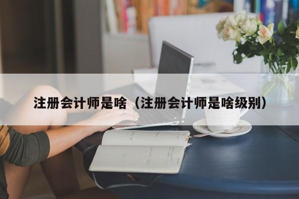 注册会计师是啥（注册会计师是啥级别）
